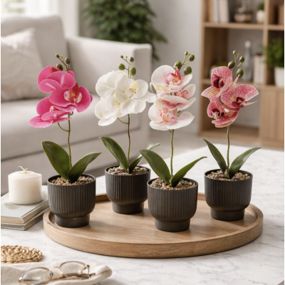 Planta maceta fucsias 2744