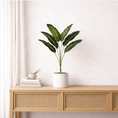 Planta maceta arbol 64 4466