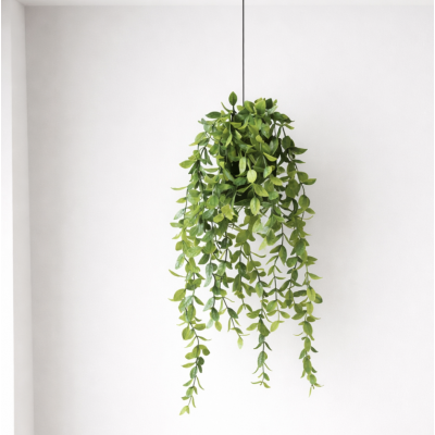 Planta colgante 60' 4080