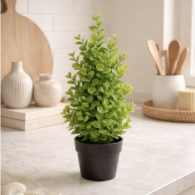 Planta maceta arbolito 35' 3549