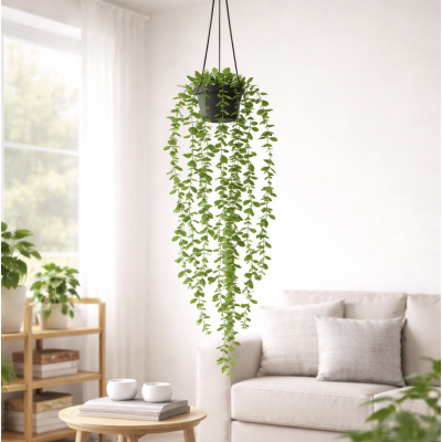 Planta colgante 60' 4079