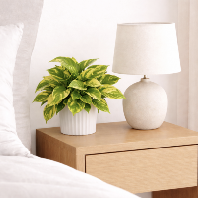 Planta maceta arficial 20*8 2513