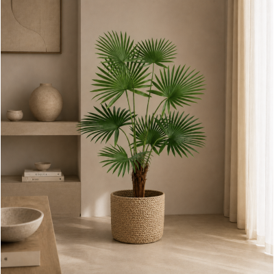 Planta maceta arbol 1 mt 4439