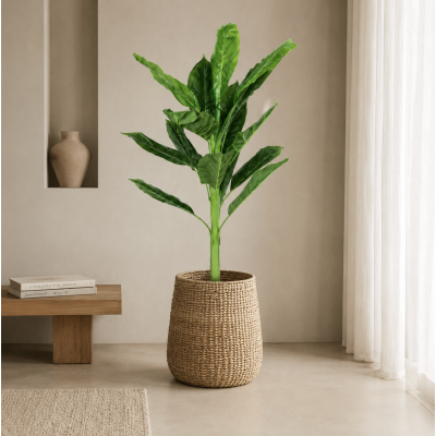 Planta arbol maceta 120 4437