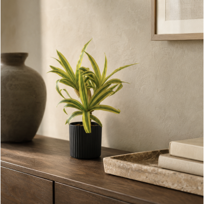Planta maceta arbolito 36 cm 3469/3463