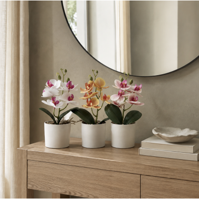 Planta maceta orquídea 24' 1204157
